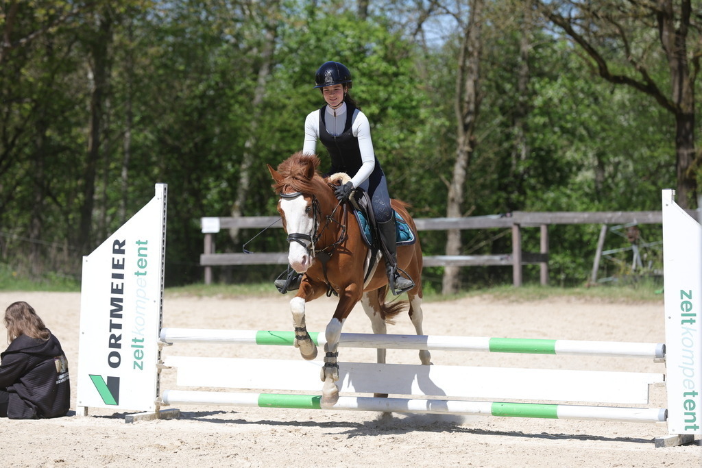 0P6A8847 | Willkommen bei Brunnmayr - Design & Fotografie – Ihrem Spezialisten für Reitturniere und Pferdeveranstaltungen in Oberösterreich, Salzburg und Bayern! Seit über 17 Jahren sind wir leidenschaftlich dabei.