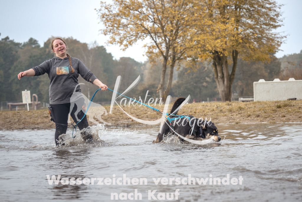 1114_ZZ93398 | kk-dogfotos