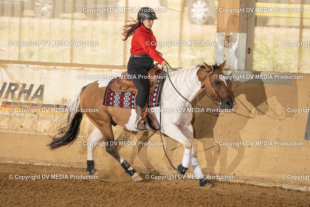 LAU01661 | dv-media-shop - Realisiert mit Pictrs.com