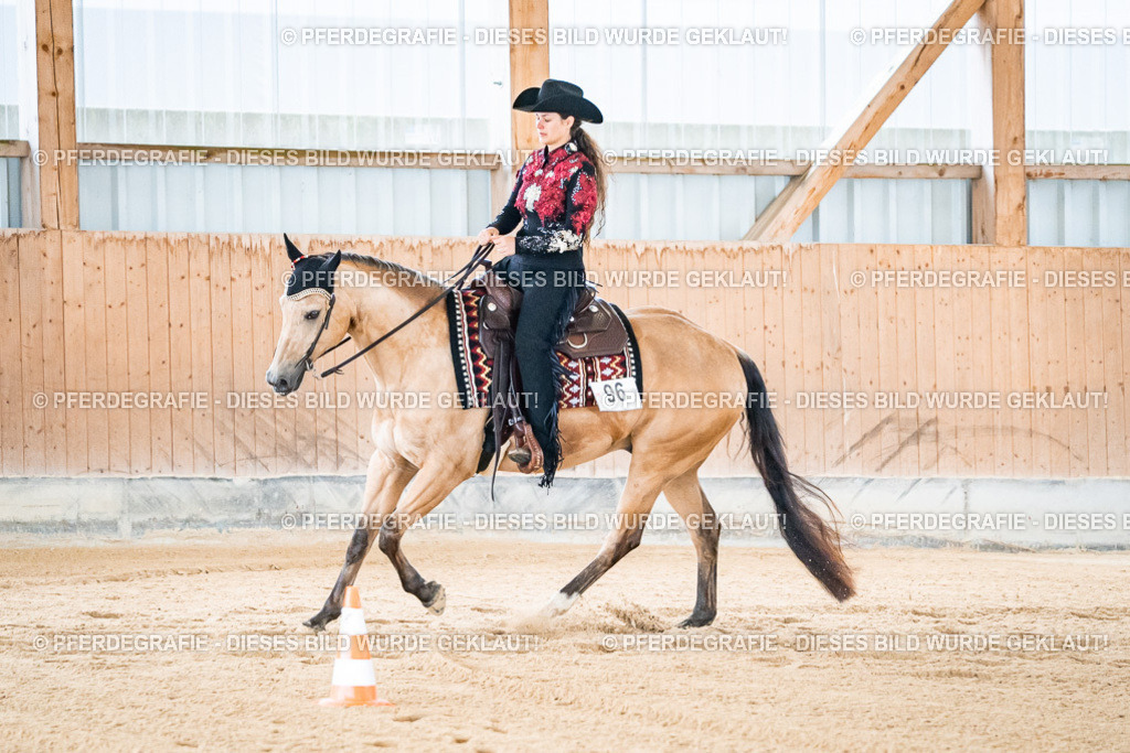 DSC01739 | Pferdegrafie