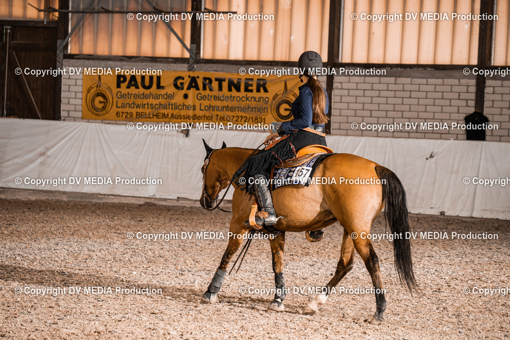 ZH200464 | dv-media-shop - Realisiert mit Pictrs.com