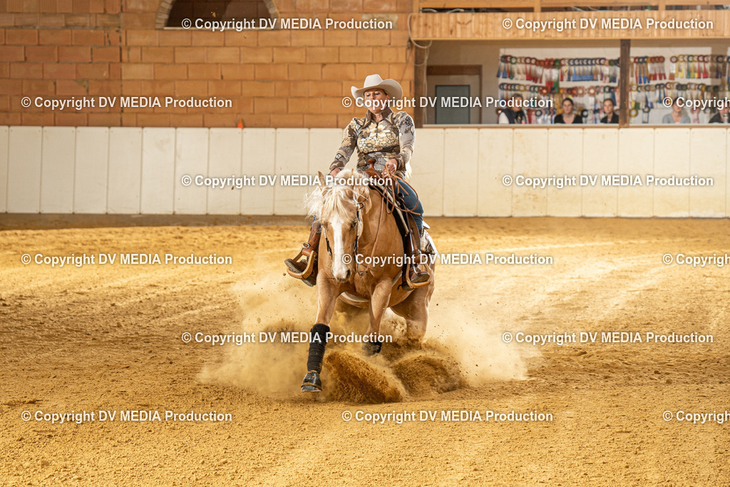 MIT00471 | dv-media-shop - Realisiert mit Pictrs.com