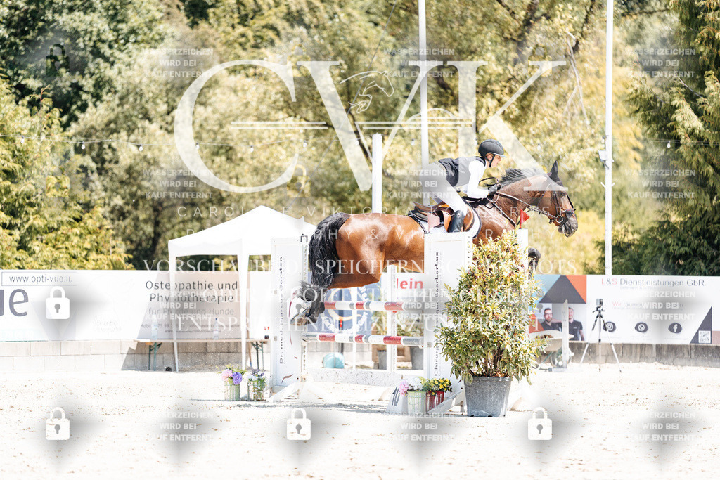 CK900474 | Turnierfotografie Pferdefotografie Trier Rheinland-Pfalz Pferdesport Reitsport Tierfotografie Sportfotografie Pferdevideo Pferdevideografie Equestrianvideography equestrianphotography  - Realisiert mit Pictrs.com