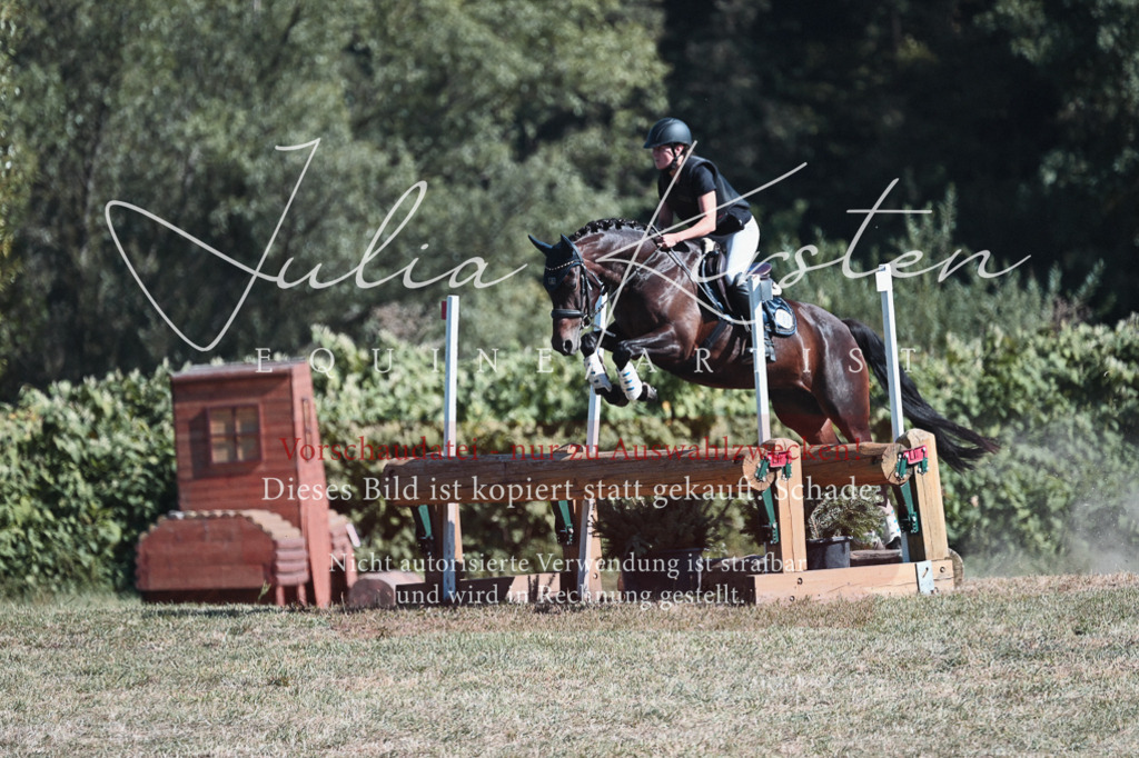 DSC_8665 | Pferde- und Turnierfotografie in Westsachsen. Pferdeportraits, Auftragszeichnungen und intuitive Kunst.