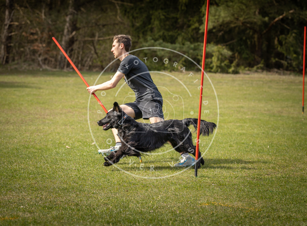 Pfotenfotografie_DV3A9776 | Hundefotografie, Tierfotograf, Pfotenfotografie, Fotoshooting Hund, Hunde Portrait, Hundesport, Hundeportraits, Heideshooting, Hunde, Sportfotograf, Hundefotograf, Turnierhundsport, THS,  - Realisiert mit Pictrs.com