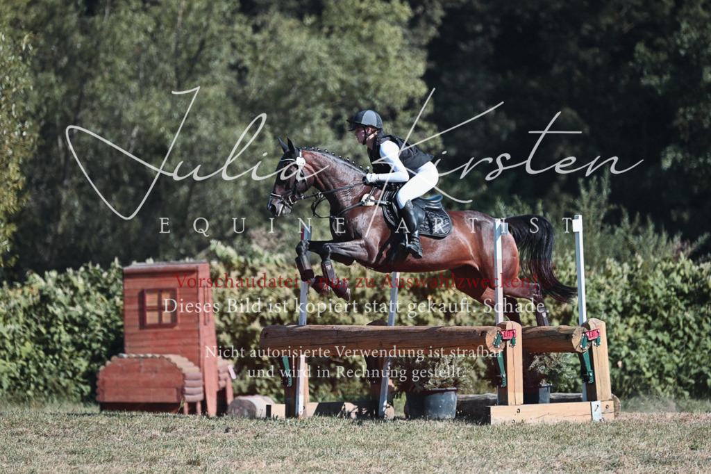 DSC_8787 | Pferde- und Turnierfotografie in Westsachsen. Pferdeportraits, Auftragszeichnungen und intuitive Kunst.