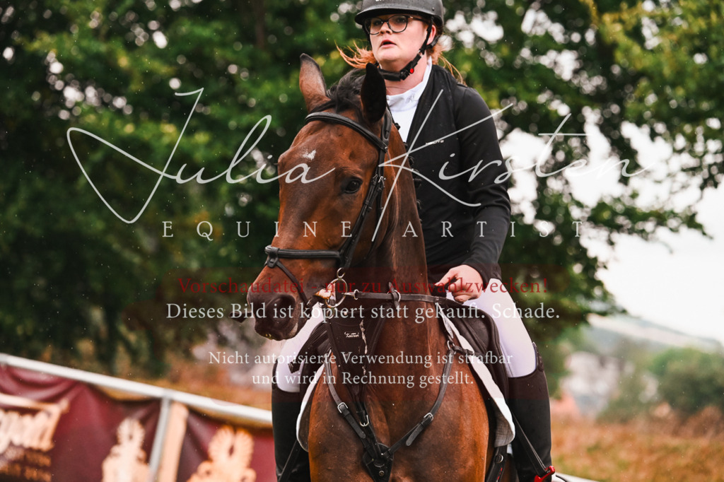 DSC_6523 | Pferde- und Turnierfotografie in Westsachsen. Pferdeportraits, Auftragszeichnungen und intuitive Kunst.