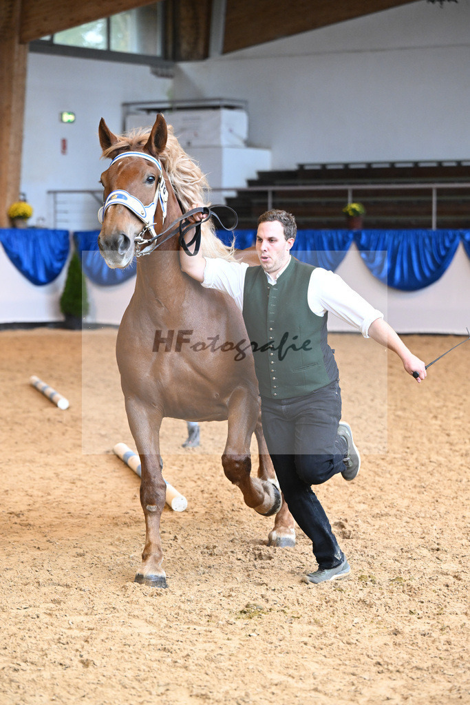 Kat-Nr. 78 Haquira_Bacher_53220384 | hf-fotografie - Realisiert mit Pictrs.com