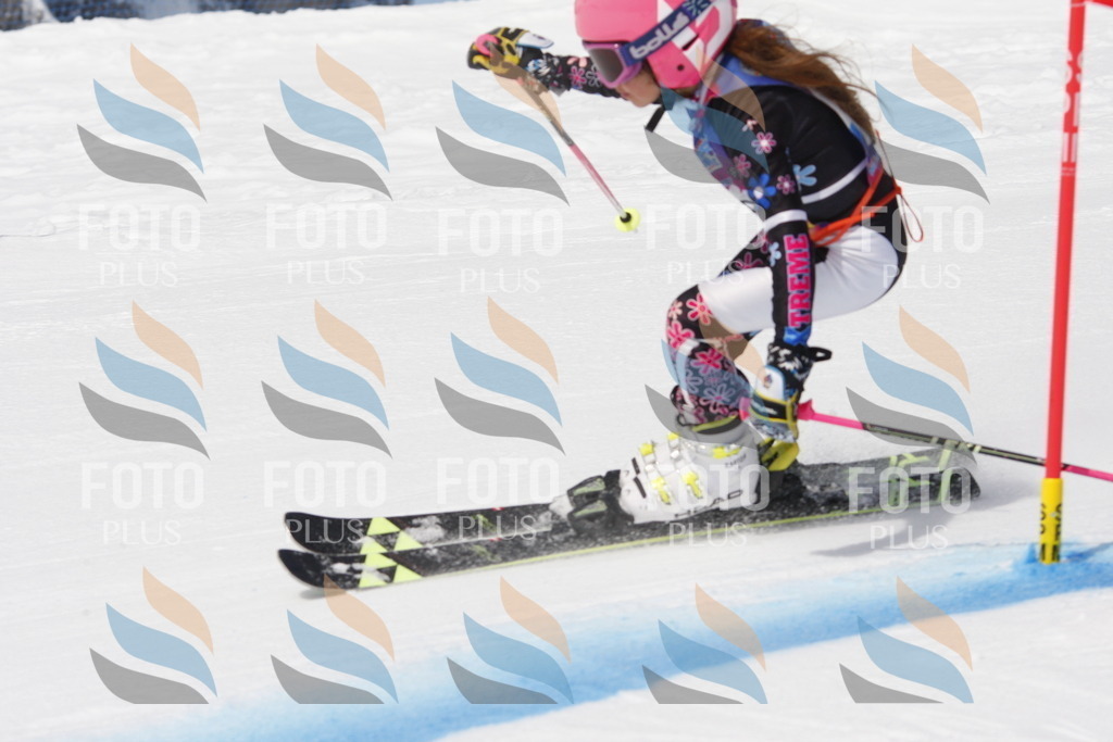 _W1G0539 | holidayphoto