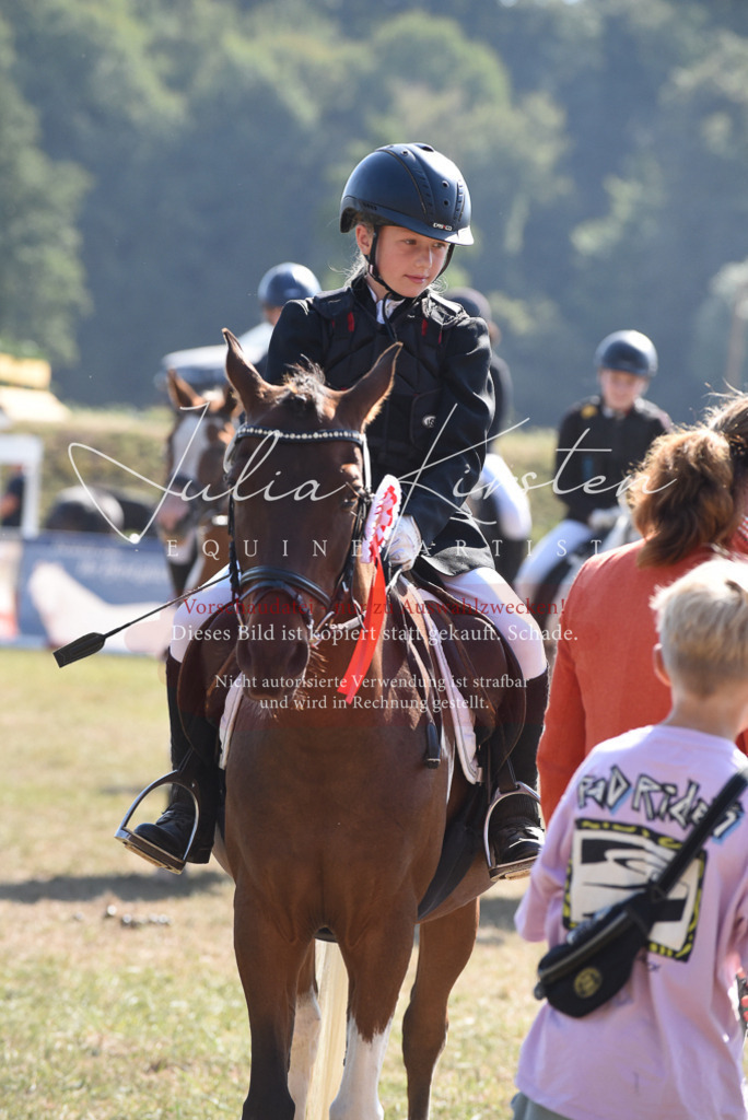 DSC_6154 | Pferde- und Turnierfotografie in Westsachsen. Pferdeportraits, Auftragszeichnungen und intuitive Kunst.