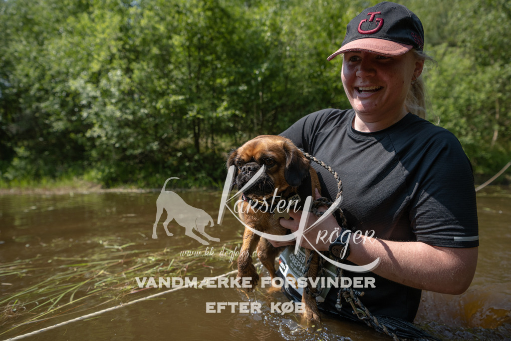 1330DKK994284 | kk-dogfotos