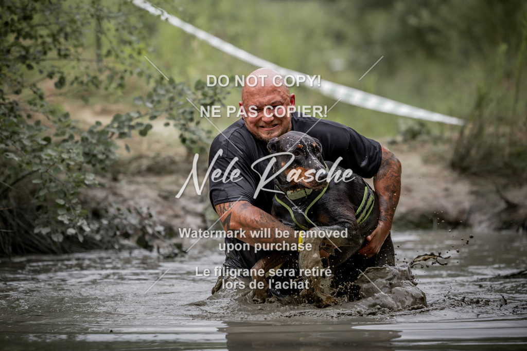 nelerasche_so0800-0930_384 | nelerasche