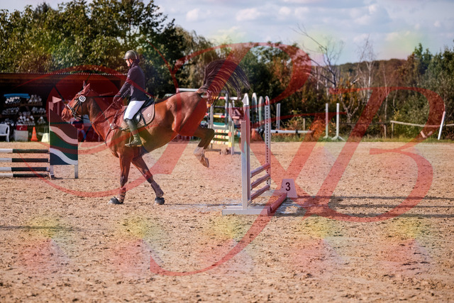 2026_10_03_Siefer-Hof_155552_Z81_75151581 | Professionelle Reitsport-, Turnier- und Eventfotografie von Robert Broda. Galerien mit ausgewählten und bearbeiteten Bildern direkt online ansehen und bestellen.