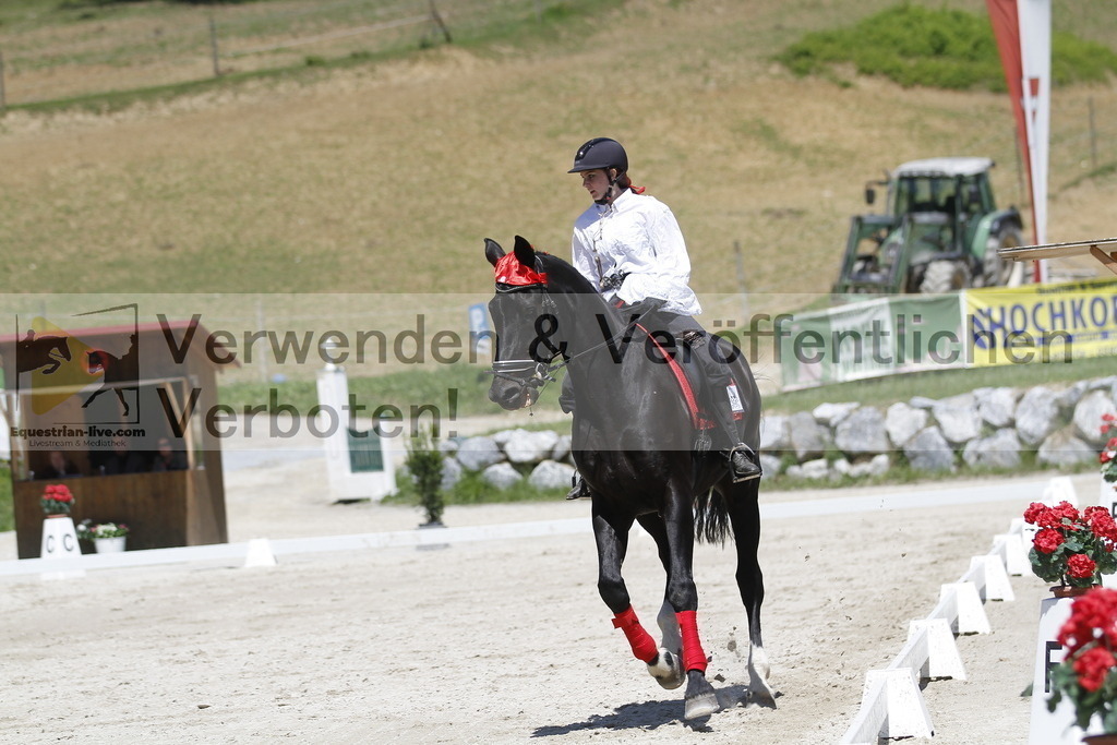_MG_7425 | equestrian-live-com