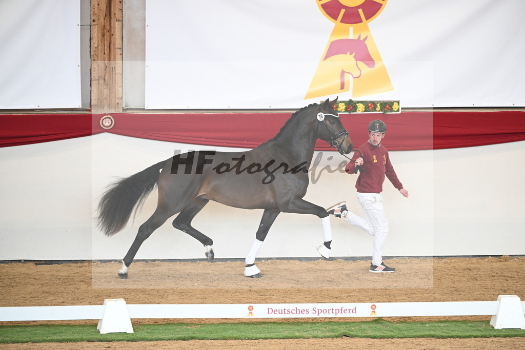 Kat.-Nr. 78 v. Springbank II VH_Reichert_2250735 | hf-fotografie - Realisiert mit Pictrs.com