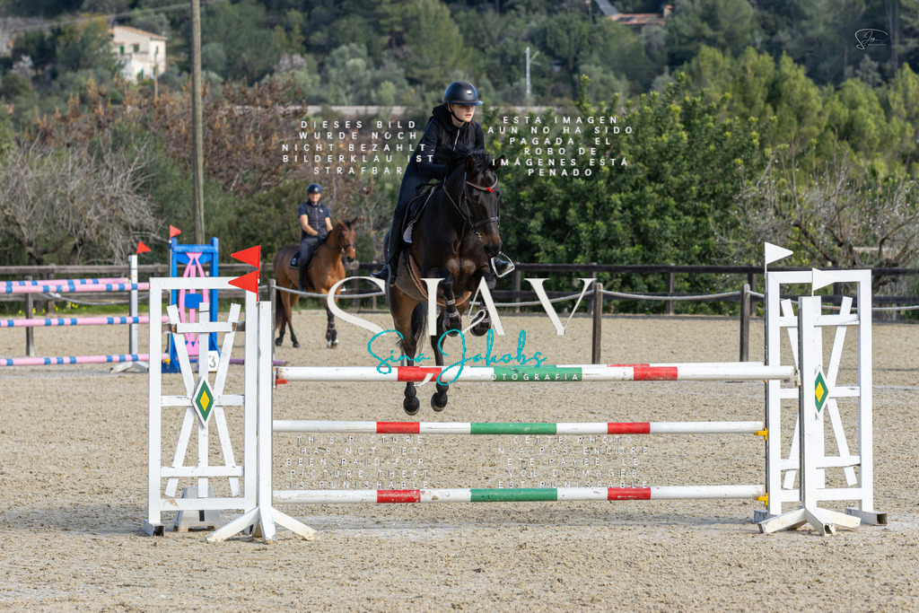 IMG_4460 | s-jay-photography - Realisiert mit Pictrs.com