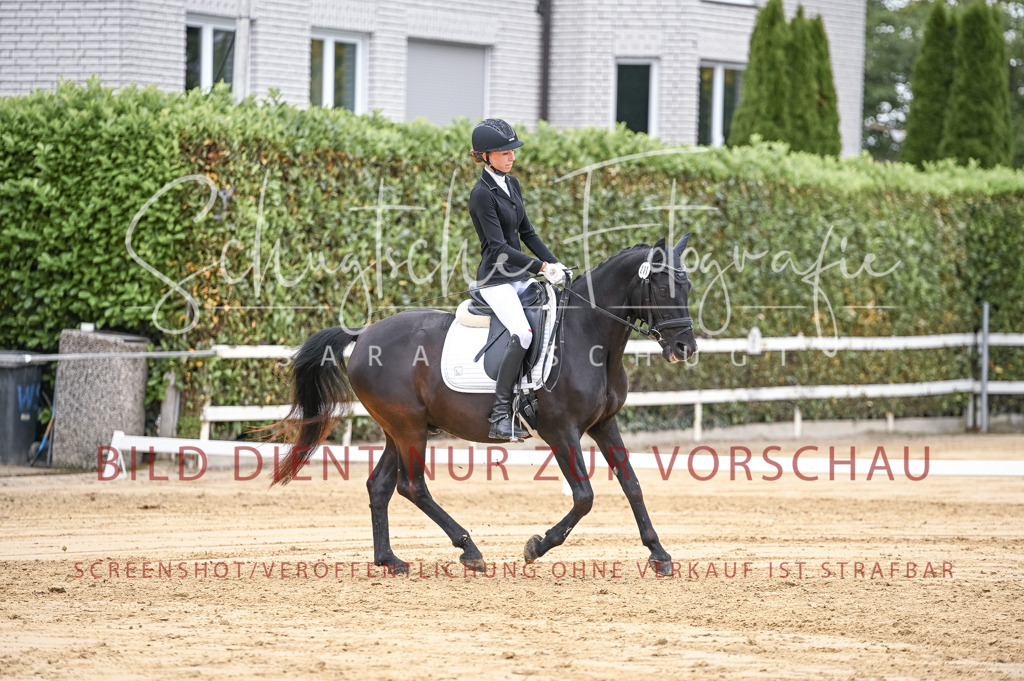Schugtsche-Aluta25-42.EDressur -182 | Schugtsche Fotografie - Realisiert mit Pictrs.com