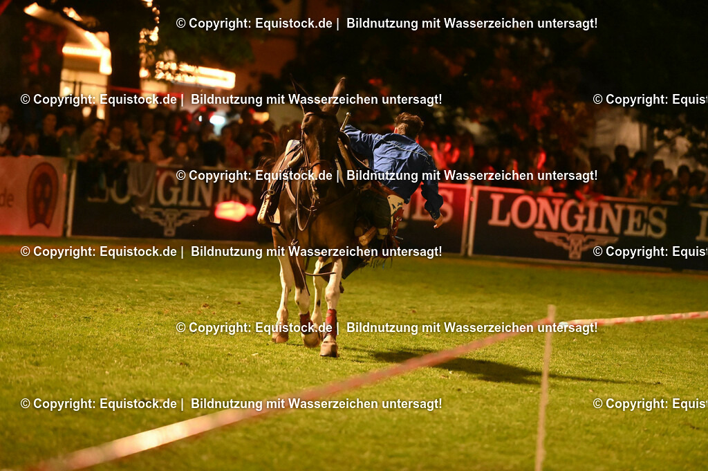 20230526_Pferdenacht_1210 | equistock