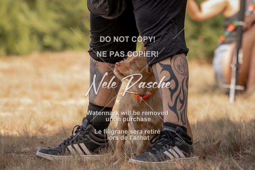 nelerasche_soDD2_69 | nelerasche
