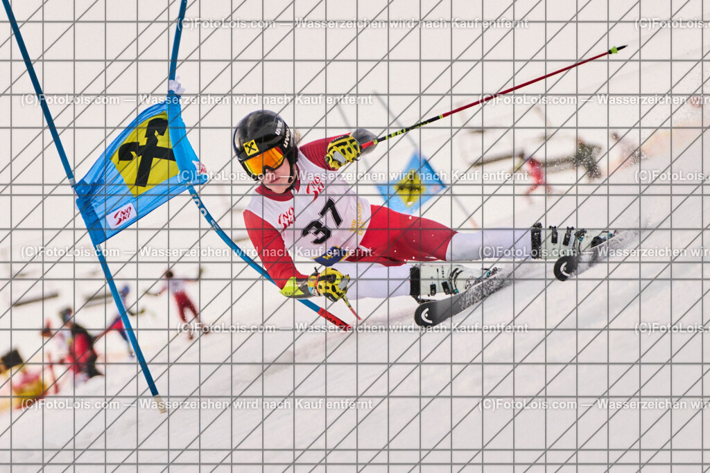 ALP8111_Herrn-FIS-GS-I_Lackenhof-WY_Gstrein Niklas | Internationaler FIS GiantSlalom der Herrn auf der Distelpiste in Lackenhof am Mo 10. März 2025.  Österreich, LSV-NÖ, Sportunion Waidhofen/Ybbs (2035).