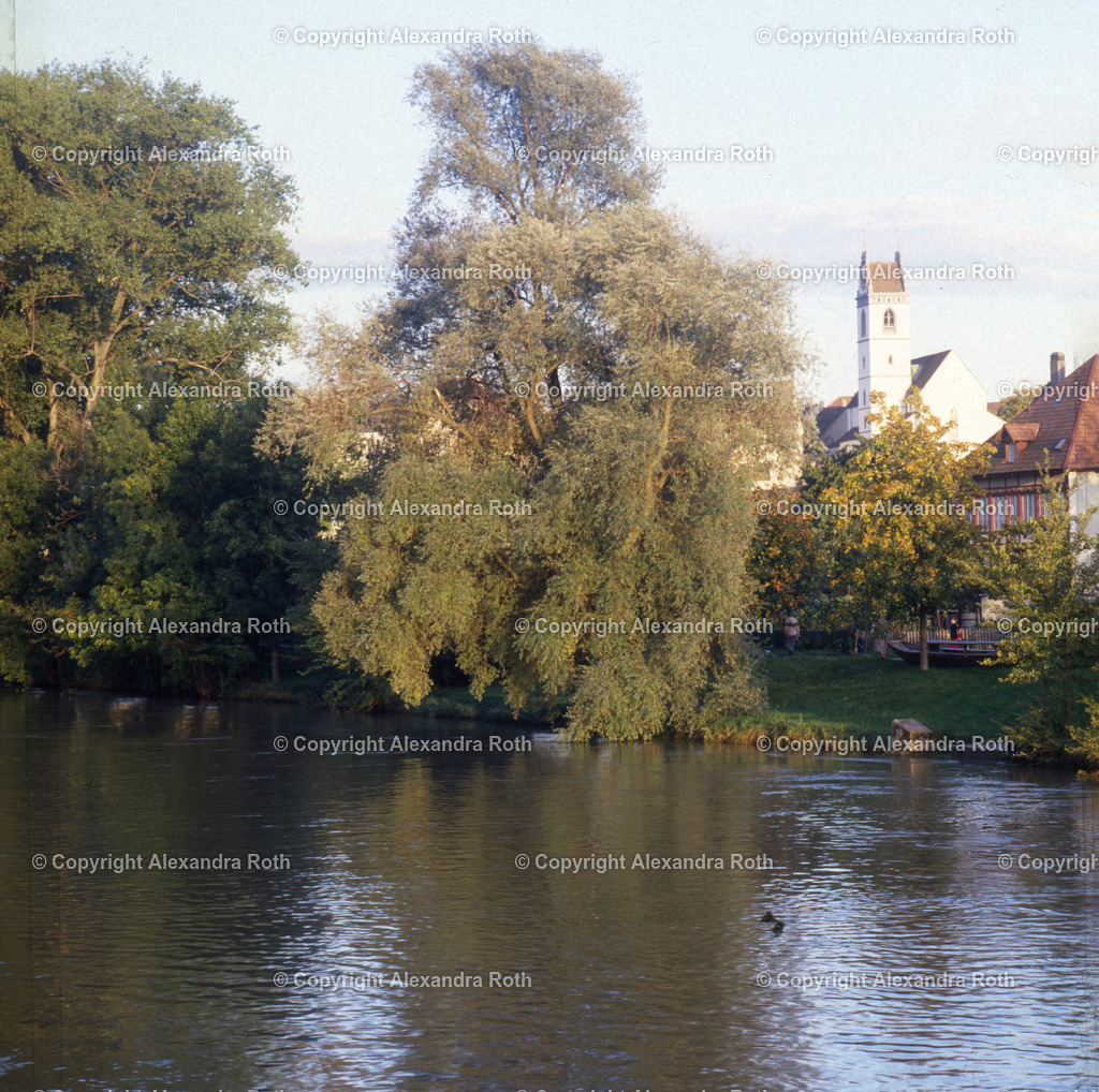 Aarau_0573 | onlineshop - Realisiert mit Pictrs.com