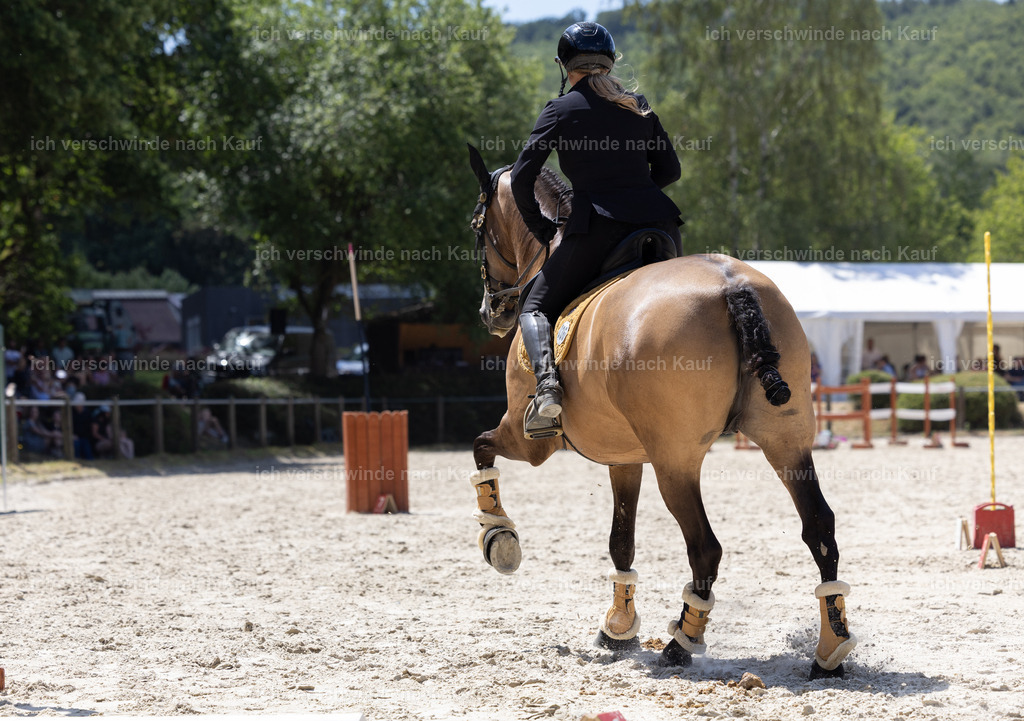 WM_Speed_36_KerstinBernhardt-8 | working equitationturnier fotograf videograf stoibphotography marixx film working equitation deutschland reitsport turnierfotografie eventfotografie equestrian events