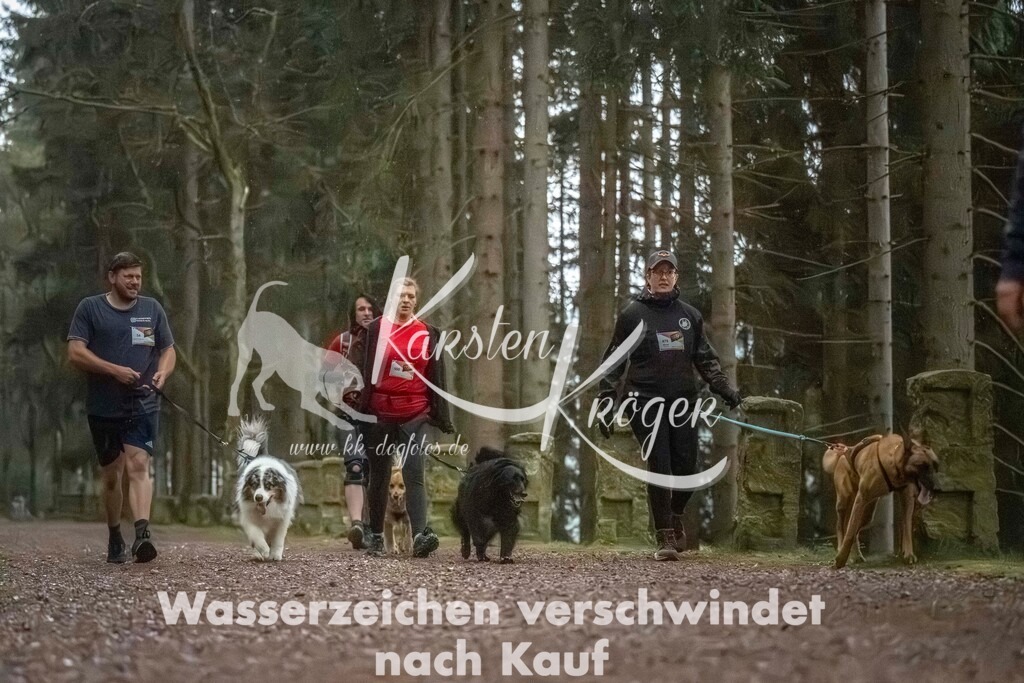 0834_ZZ92033 | kk-dogfotos