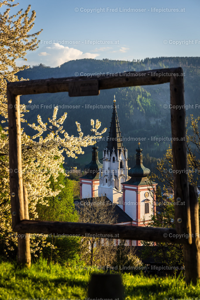 Basilika Mariazell 29042025 _ Fred Lindmoser- | Fotos und Fotoprodukte - Realisiert mit Pictrs.com