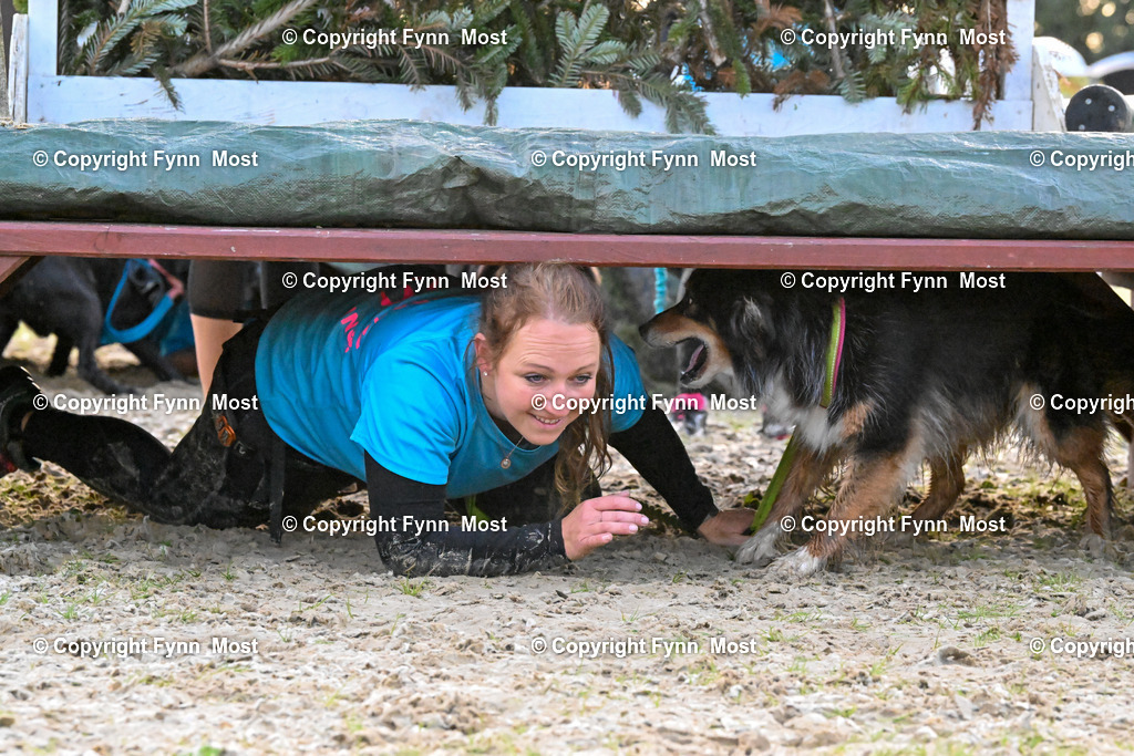 DSC_2939 | Hallo und herzlich Willkommen auf meiner Shop-Seite Fynn Most.

Ich wünsche Dir viel Spaß beim stöbern durch die Bilder, wenn Du Fragen hast oder Bilder vermisst, kannst du mir gerne eine Nachricht schreiben. - Realisiert mit Pictrs.com