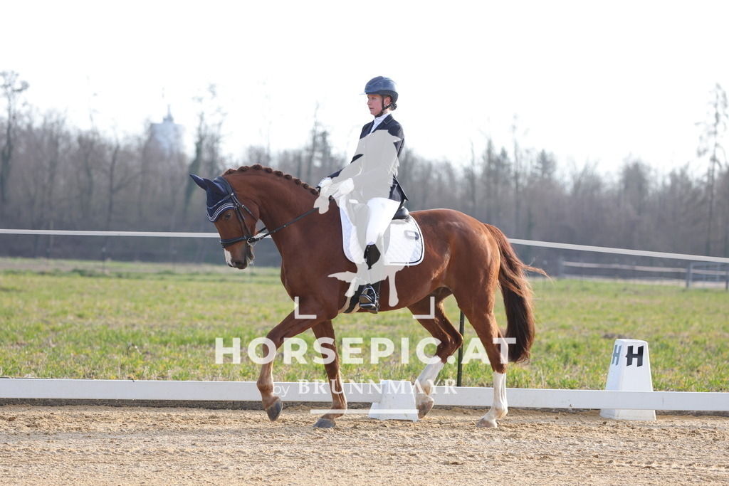 0P6A5942 | Willkommen bei Brunnmayr - Design & Fotografie – Ihrem Spezialisten für Reitturniere und Pferdeveranstaltungen in Oberösterreich, Salzburg und Bayern! Seit über 17 Jahren sind wir leidenschaftlich dabei.