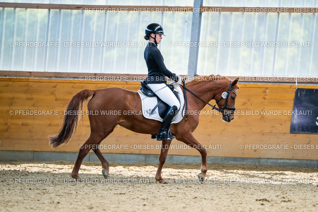 DSC05166 | Pferdegrafie