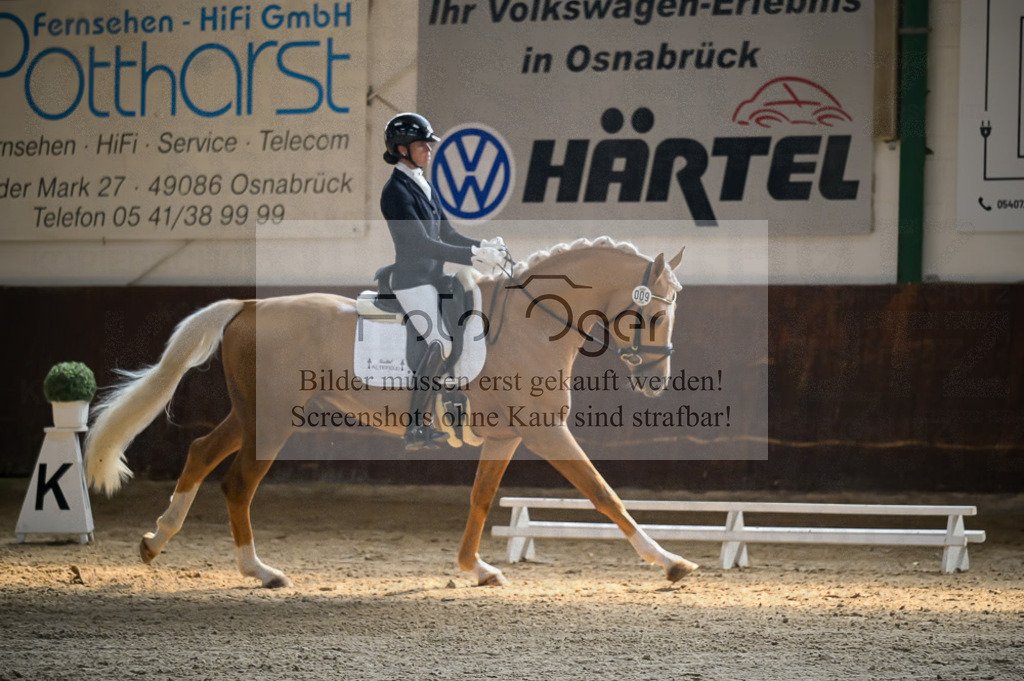 Reitturnier Voxtrup | Entdecke hochwertige Reitturnierfotos von Foto Oger. Professionell, emotional und authentisch – jetzt Lieblingsmomente im Shop bestellen.Deutschlandweite Turnierfotografie. - Realisiert mit Pictrs.com
