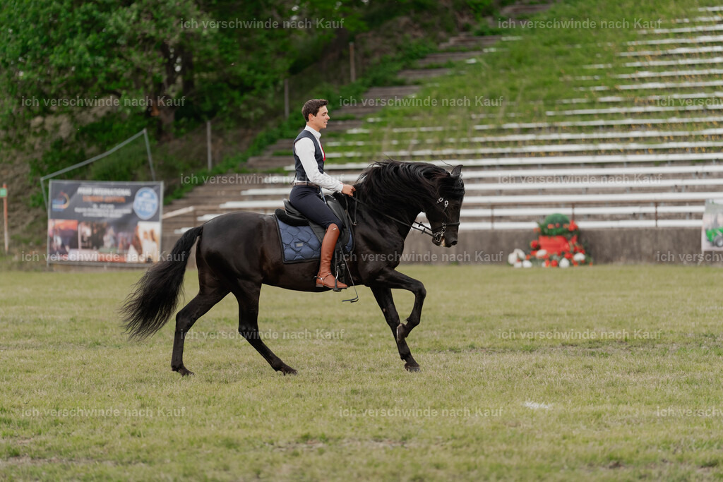 Showprogramm-413 | working equitationturnier fotograf videograf stoibphotography marixx film working equitation deutschland reitsport turnierfotografie eventfotografie equestrian events
