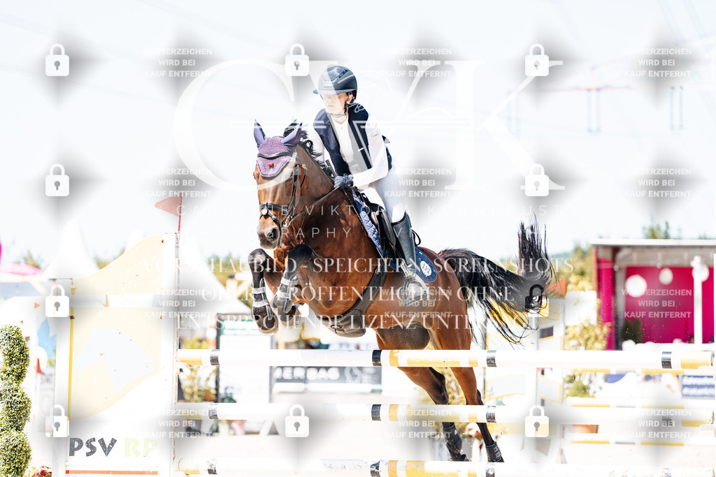 CK909895 | Turnierfotografie Pferdefotografie Trier Rheinland-Pfalz Pferdesport Reitsport Tierfotografie Sportfotografie Pferdevideo Pferdevideografie Equestrianvideography equestrianphotography  - Realisiert mit Pictrs.com