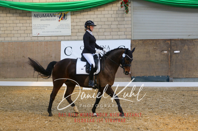IMG_2578 | Turnierfotos kaufen im Webshop von Daniel Kuhl Photography – entdecke professionelle Reitsportfotos aus Turnieren & Events. Hochwertige Turnierbilder online bestellen & sichern. Jetzt Fotos von Reitsportturnieren kaufen!