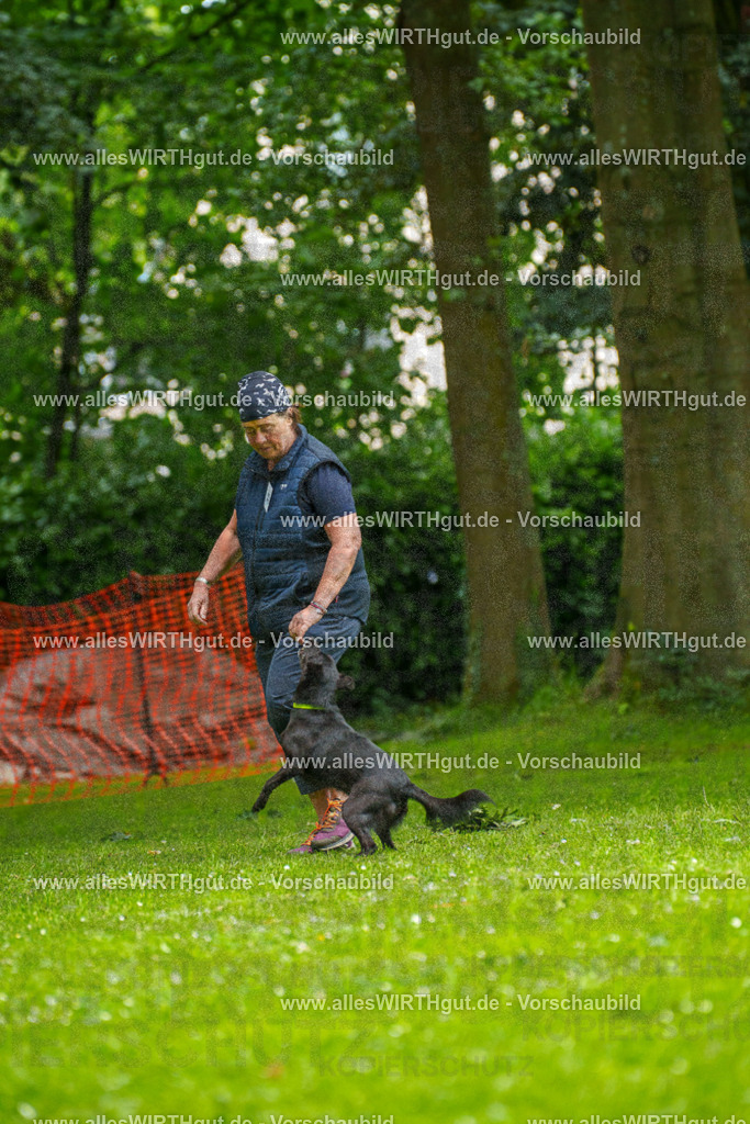 @allesWIRTHgut_Tierfotografie - www.allesWIRTHgut.de - 124248-7R509341 | Professionelle Tierfotografie in Mönchengladbach von Daniel Wirth (allesWIRTHgut). Liebevolle & natürliche Bilder von Hunden & Katzen für unvergessliche Erinnerungen.