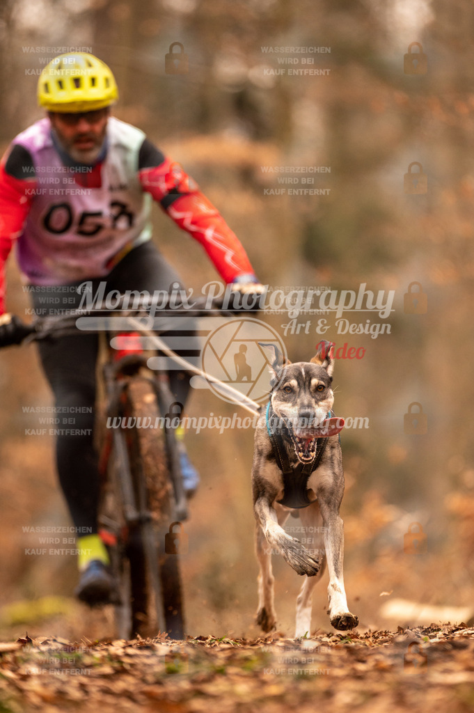 AKM_ST_2023_SAM_Bike-20 | PayLife