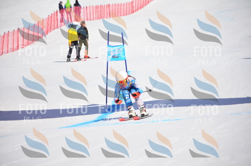 VR4_9566 | holidayphoto