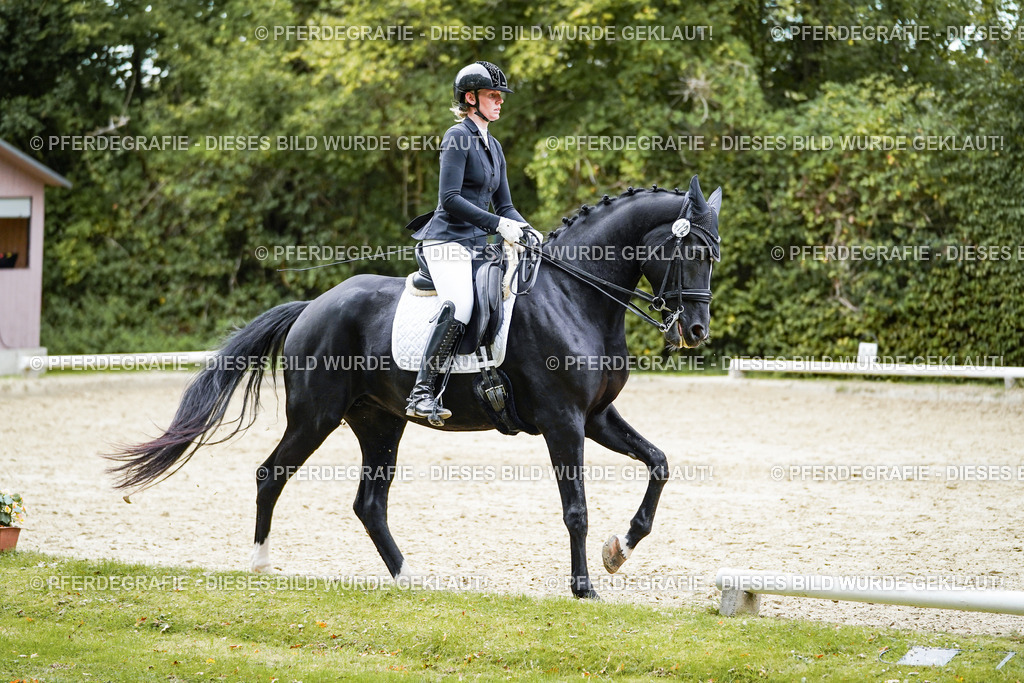 DSC02355 | Pferdegrafie