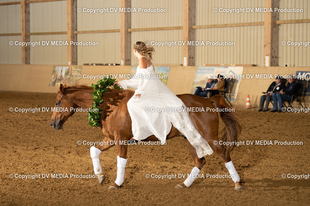 LAU01205 | dv-media-shop - Realisiert mit Pictrs.com