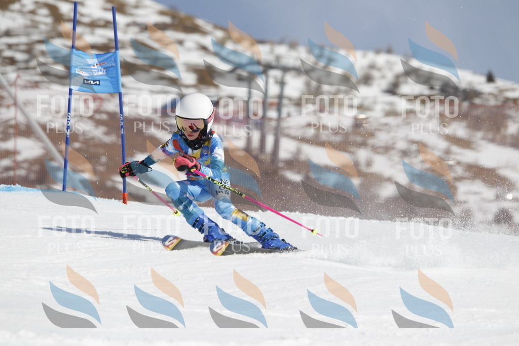 _U3G0557 | holidayphoto