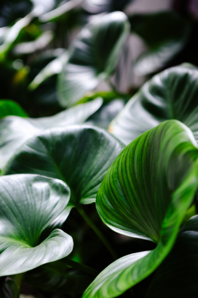 IMG_1160 | AHORN PHOTOGRAPHY - Realisiert mit Pictrs.com