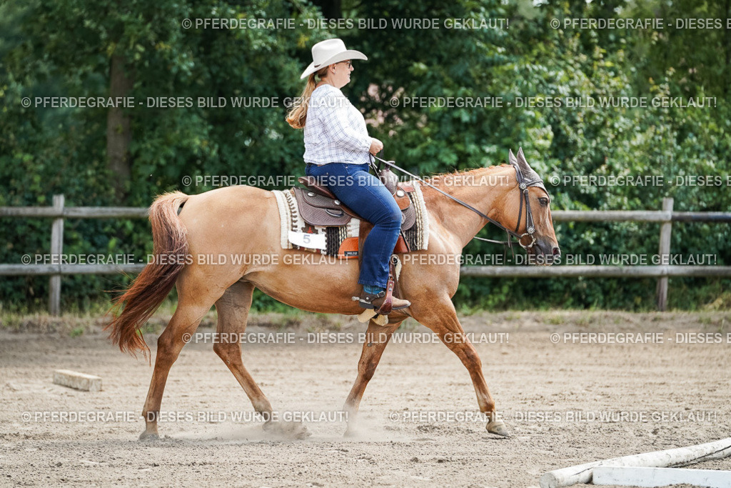 DSC05971 | Pferdegrafie