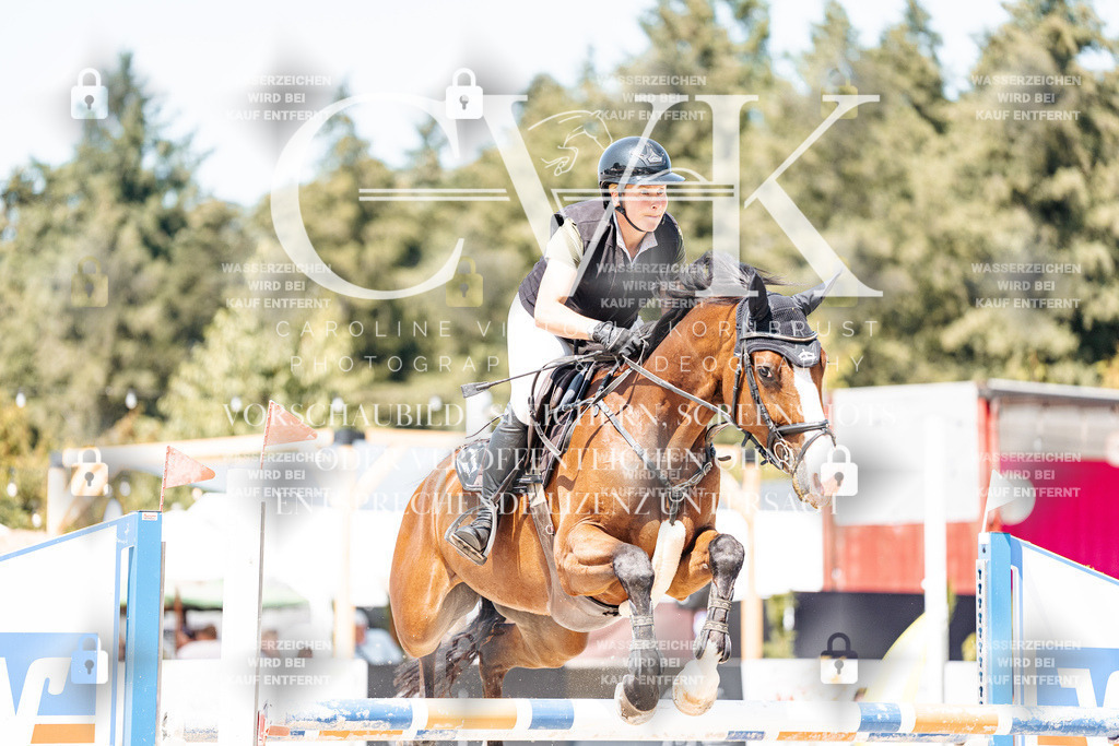CK900912 | Turnierfotografie Pferdefotografie Trier Rheinland-Pfalz Pferdesport Reitsport Tierfotografie Sportfotografie Pferdevideo Pferdevideografie Equestrianvideography equestrianphotography  - Realisiert mit Pictrs.com