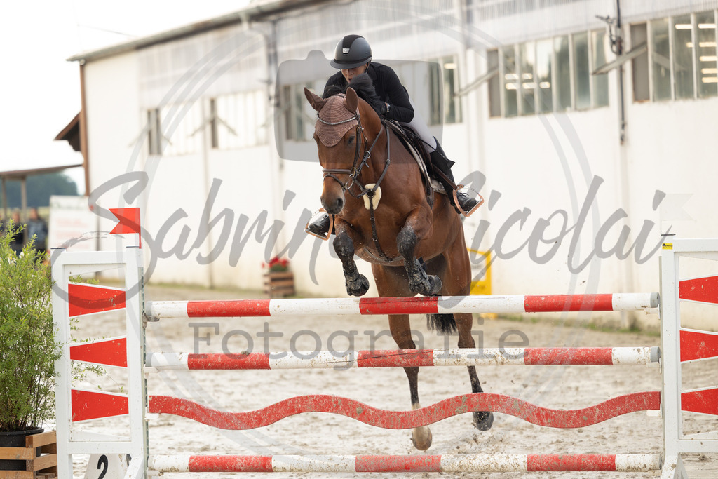 994A9974 | sabrinanicolaifotografie - Realisiert mit Pictrs.com