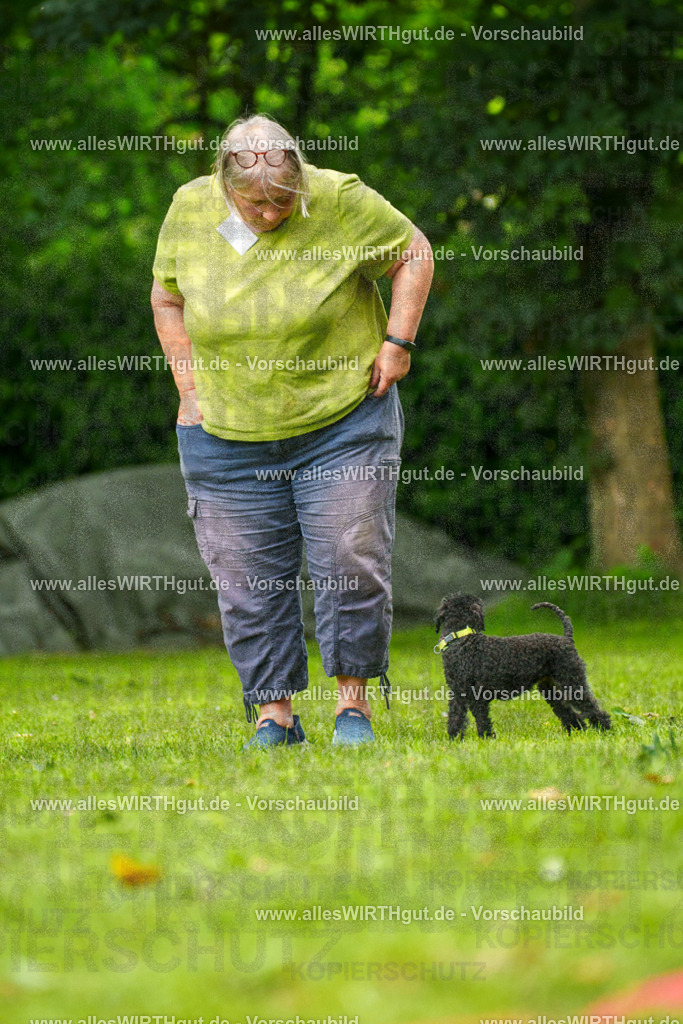 @allesWIRTHgut_Tierfotografie - www.allesWIRTHgut.de - 7R500337 | Professionelle Tierfotografie in Mönchengladbach von Daniel Wirth (allesWIRTHgut). Liebevolle & natürliche Bilder von Hunden & Katzen für unvergessliche Erinnerungen.