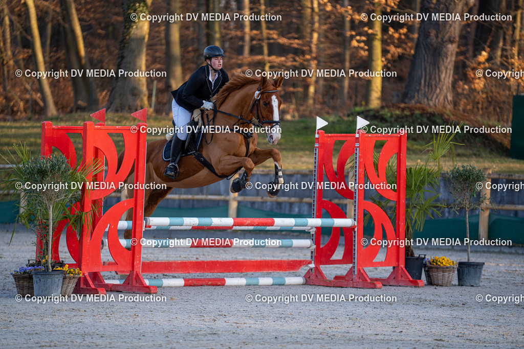 DSC-259 | dv-media-shop - Realisiert mit Pictrs.com