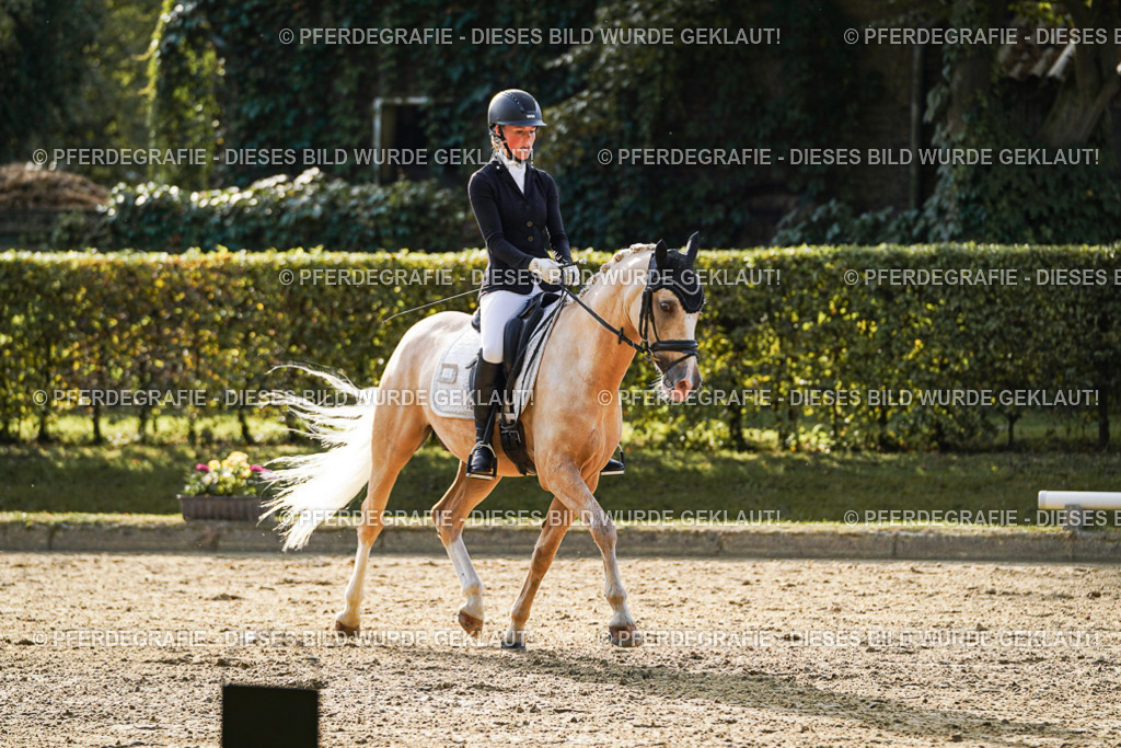 DSC04896 | Pferdegrafie