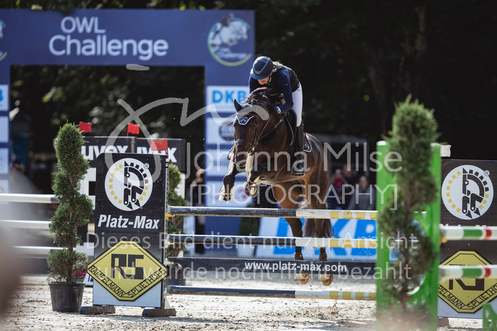 240914_OWLCh_AmateurM-550 | Deine schönsten Turniermomente als professionelle Fotos! Entdecke hochwertige Pferdesport-Fotografie im Online-Shop. Jetzt Fotos finden & bestellen!