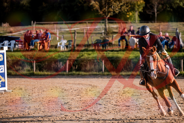 2026_10_03_Siefer-Hof_171752_Z81_16138553 | Professionelle Reitsport-, Turnier- und Eventfotografie von Robert Broda. Galerien mit ausgewählten und bearbeiteten Bildern direkt online ansehen und bestellen.